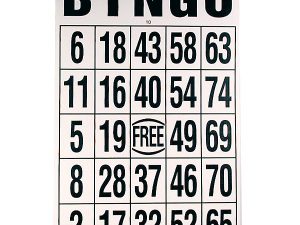 Gigantic Laminated Bingo Cards