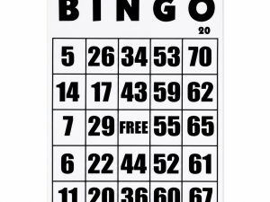 Gigantic Laminated Bingo Cards