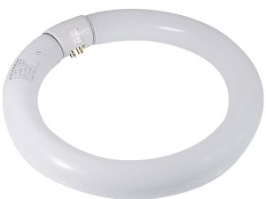 Dazor Circline 22W Fluorescent Bulb - Cool White