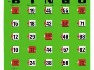 Easy Read Bingo Cards With Finger Tips, 1 Card