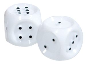 Tactile Brailled Dice - Set of 2 Dice