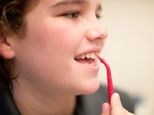 Plaque Buster (The Perfect Flosser for All Ages) - 4 Pack